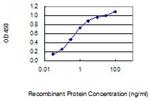 JARID1D Antibody in ELISA (ELISA)