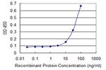 EOMES Antibody in ELISA (ELISA)