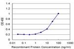 STK24 Antibody in ELISA (ELISA)