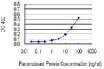 CUL3 Antibody in ELISA (ELISA)