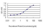 CILP Antibody in ELISA (ELISA)