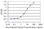 CILP Antibody in ELISA (ELISA)