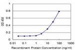 GCM1 Antibody in ELISA (ELISA)