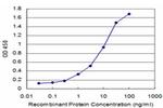 AP3B1 Antibody in ELISA (ELISA)