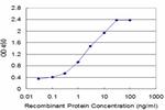 TCAP Antibody in ELISA (ELISA)