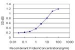 KHSRP Antibody in ELISA (ELISA)