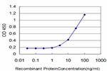 EIF4G3 Antibody in ELISA (ELISA)