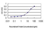 RAB11A Antibody in ELISA (ELISA)