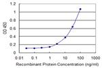 INPP4B Antibody in ELISA (ELISA)