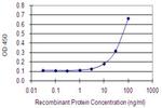 ST3GAL5 Antibody in ELISA (ELISA)