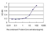 SPHK1 Antibody in ELISA (ELISA)