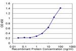 SOCS3 Antibody in ELISA (ELISA)