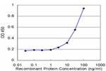 SOCS3 Antibody in ELISA (ELISA)