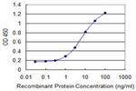 ASH2L Antibody in ELISA (ELISA)