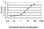 CLDN1 Antibody in ELISA (ELISA)