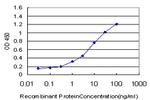 NMI Antibody in ELISA (ELISA)