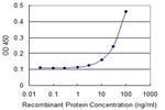 ATP6V0D1 Antibody in ELISA (ELISA)