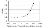 SLC28A2 Antibody in ELISA (ELISA)