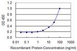 NOG Antibody in ELISA (ELISA)