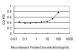 CRLF1 Antibody in ELISA (ELISA)