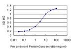 CYTH2 Antibody in ELISA (ELISA)