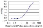 CNOT8 Antibody in ELISA (ELISA)