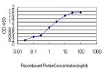 CPNE6 Antibody in ELISA (ELISA)