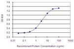 EIF2AK3 Antibody in ELISA (ELISA)