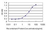 GGPS1 Antibody in ELISA (ELISA)