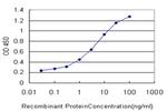 ATG5 Antibody in ELISA (ELISA)