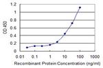 CART Antibody in ELISA (ELISA)