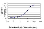 RAPGEF2 Antibody in ELISA (ELISA)