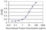 NOS1AP Antibody in ELISA (ELISA)