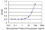 GIT2 Antibody in ELISA (ELISA)