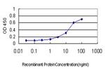 MFN2 Antibody in ELISA (ELISA)