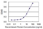 HS3ST2 Antibody in ELISA (ELISA)