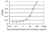 PARP3 Antibody in ELISA (ELISA)