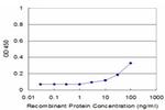 DNM1L Antibody in ELISA (ELISA)