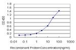 ZNF263 Antibody in ELISA (ELISA)