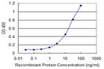 ZNF263 Antibody in ELISA (ELISA)