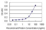 RAMP2 Antibody in ELISA (ELISA)