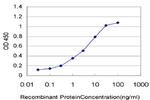 SNAPC5 Antibody in ELISA (ELISA)