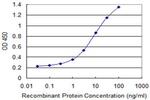 NOD1 Antibody in ELISA (ELISA)