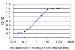 YAP1 Antibody in ELISA (ELISA)