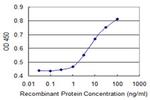 MAP3K7IP1 Antibody in ELISA (ELISA)