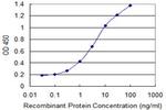 SYNCRIP Antibody in ELISA (ELISA)