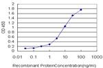 SEMA4D Antibody in ELISA (ELISA)