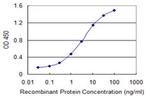 NPC2 Antibody in ELISA (ELISA)