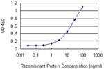 GNLY Antibody in ELISA (ELISA)