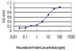 PLK4 Antibody in ELISA (ELISA)